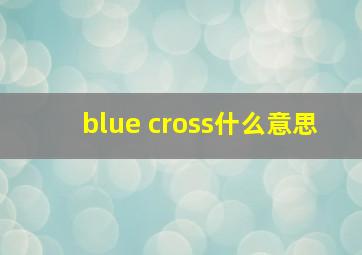 blue cross什么意思